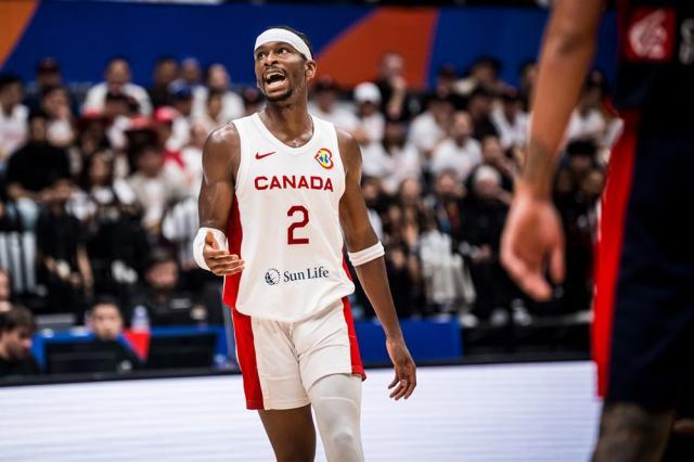 1692980321646067857.jpg image.jpg